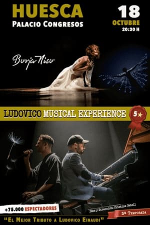 LUDOVICO MUSICAL EXPERIENCE